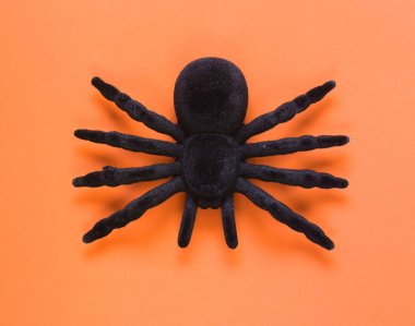 Cadılar Bayramı tatil için kompozisyon dekor