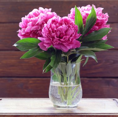 Güzel mor Şakayık, çiçek aranjmanı