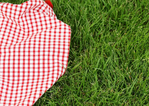 A piknik - kockás, zöld fű háttér — Stock Fotó