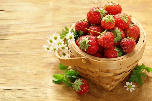 Fresas orgánicas maduras en una canasta — Foto de Stock