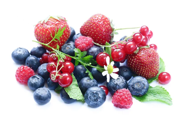 Verschiedene Beeren - Erdbeeren, Johannisbeeren, Himbeeren, Blaubeeren — Stockfoto