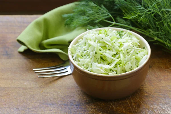 Cabbage Cole Slaw salad with dill — Stock Photo, Image