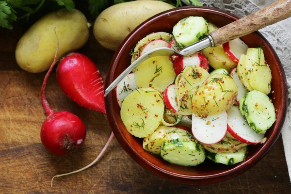 Картопляний салат з редькою та огірком, гірчична заправка — стокове фото