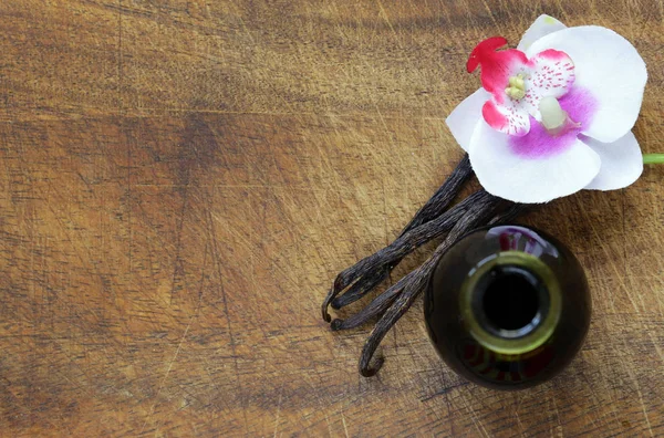 Bir şişe ve vanilya çubukları içinde Vanilya ekstresi — Stok fotoğraf