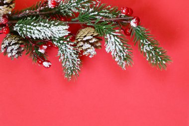 Çok renkli bir arka plan üzerinde Noel süslemeleri ile Noel ağacı