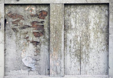 Eski retro arka plan ağaç