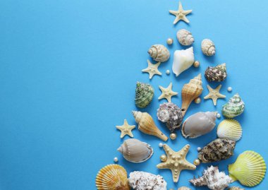 Kabukları ve denizyıldızı mavi bir arka plan üzerinde
