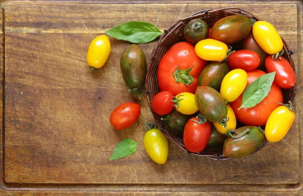 Ripe organic tomatoes in a wicker basket — Stock Photo, Image