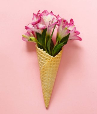 güzel leylak yabani orkide - alstroemeria çiçek