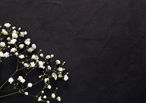 Μικρά όμορφα λευκά λουλούδια πάνω σε μαύρο φόντο — Φωτογραφία Αρχείου