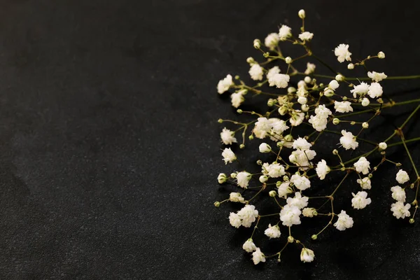 Piękne, małe, białe kwiaty na czarnym tle — Zdjęcie stockowe