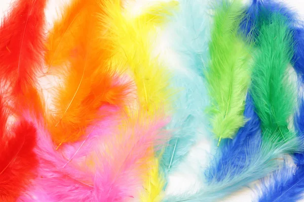 Multicolored (yellow, blue, red) feathers on a white background — Stock Photo, Image