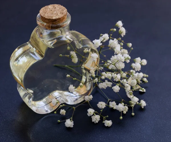 Blütenessenz in einer Glasflasche und frische Blumen — Stockfoto