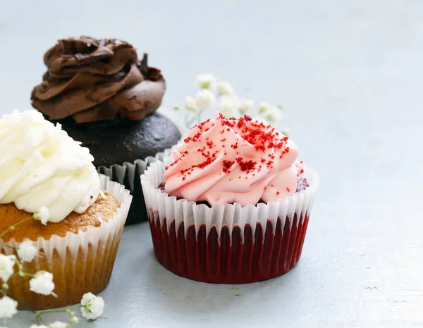 Different capcakes with chocolate and vanilla cream dessert — Stock Photo, Image