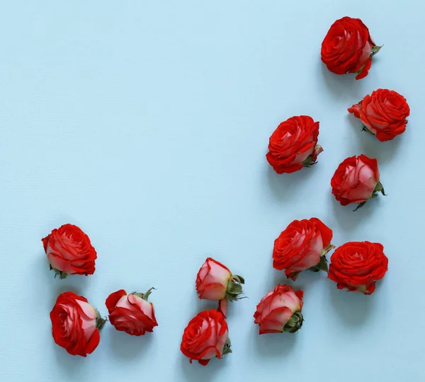 Los capullos de flores de las rosas para las felicitaciones por la fiesta —  Fotos de Stock