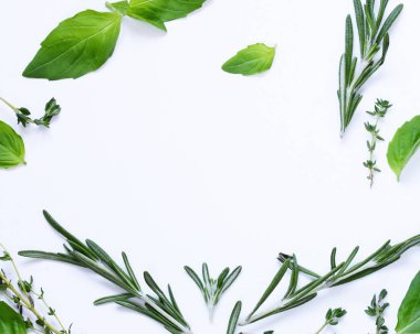 aromatik otlar - fesleğen, kekik, biberiye beyaz arka plan üzerinde