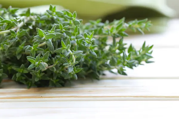 Verse Groene Geurig Kruid Tijm — Stockfoto