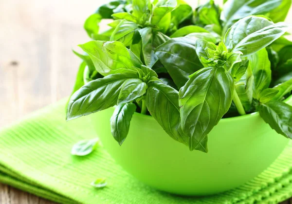 Fresh Green Fragrant Basil — Stock Photo, Image