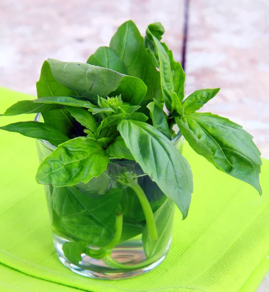 Fresh Green Fragrant Basil — Stock Photo, Image