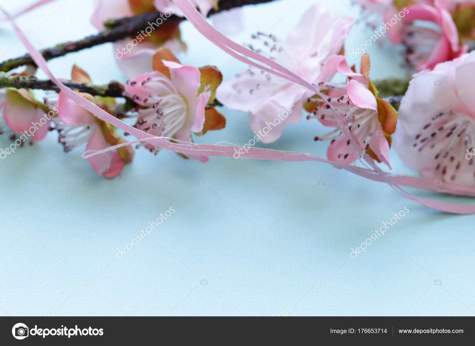 Branches Symbole Printemps Des Fleurs Cerisier Sakura