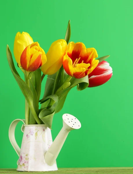 Spring Flowers Tulips Easter Holiday — Stock Photo, Image