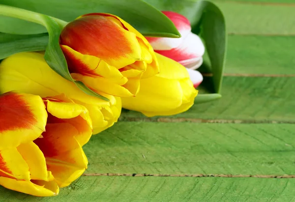 Tulipanes Flores Primavera Para Las Vacaciones Pascua —  Fotos de Stock