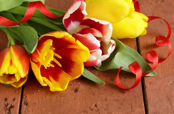 イースター休暇のため春の花チューリップ — ストック写真