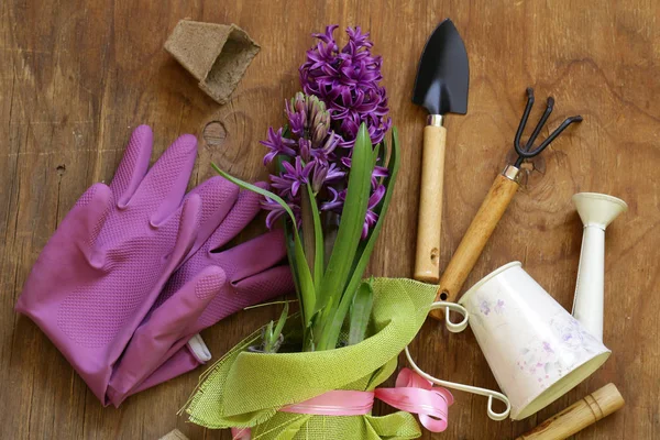Home Tuinieren Bloemen Planten Kruiden Tools — Stockfoto