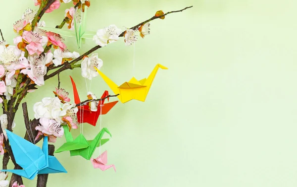 Grúas Papel Origami Símbolo Las Ramas Flores Cerezo — Foto de Stock