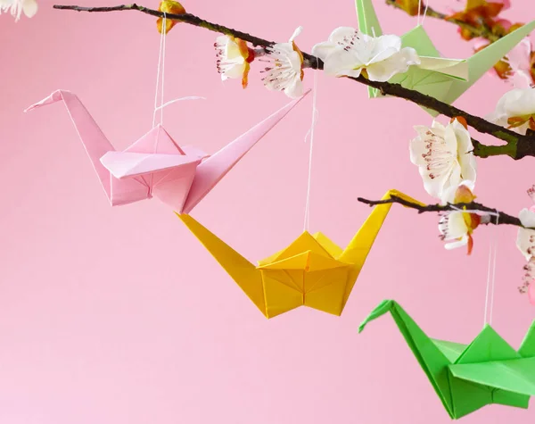 Origami Paper Cranes Symbol Branches Cherry Blossoms — Stock Photo, Image