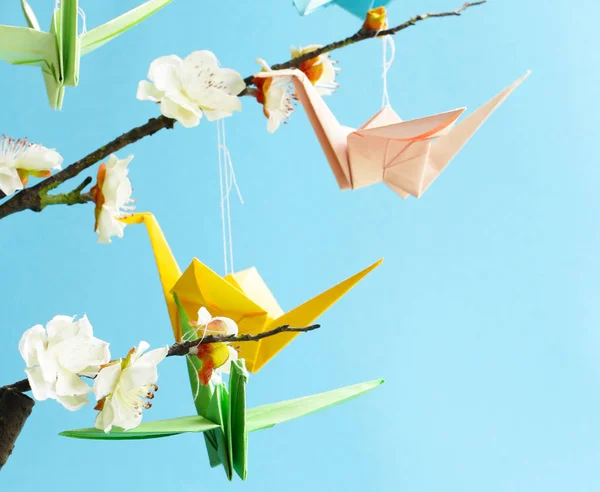 Kiraz Çiçekleri Dallarında Bir Sembolü Origami Kağıt Vinç — Stok fotoğraf
