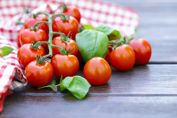 Färska Tomater Och Basilika Ett Träbord — Stockfoto