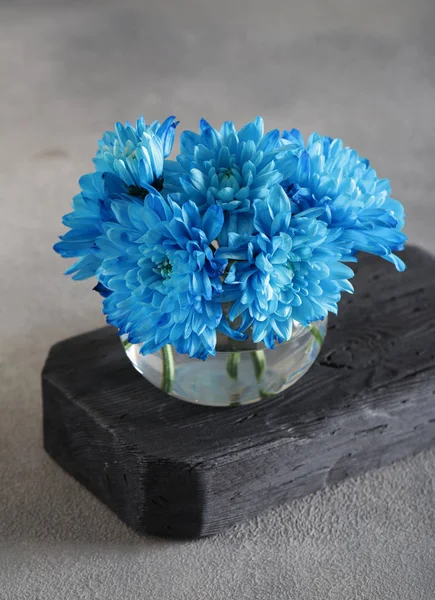 blue chrysanthemum flowers in a vase