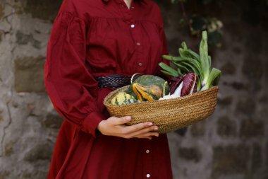 Sonbahar sebzeleri hasat sepetinde.