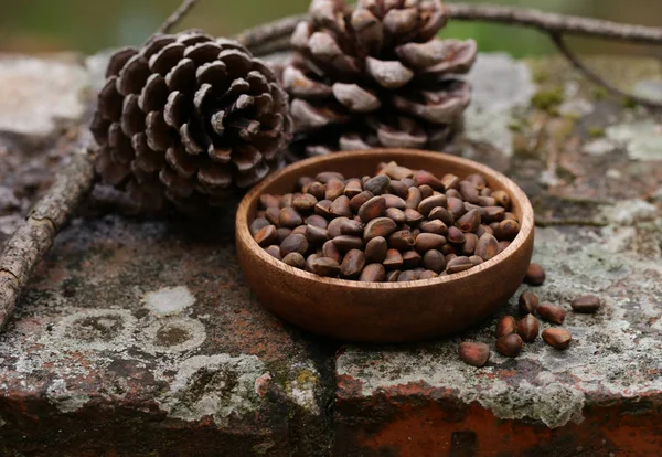 Natural Organic Pine Cones Nuts — Stock Photo, Image