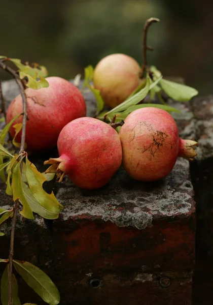 Grenades Fruits Naturels Biologiques Frais Avec Des Feuilles — Photo