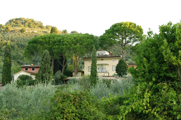 Paisajes Arquitectura Jardines Italianos Hermosas Vistas —  Fotos de Stock