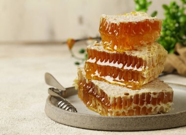 Tabakta doğal organik bal petekleri