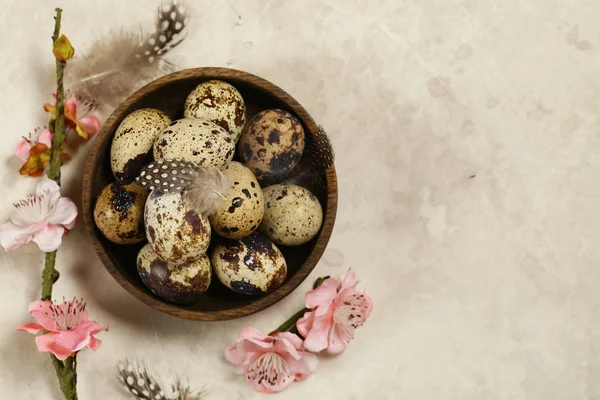 Composição Páscoa Com Ovos Codorna — Fotografia de Stock