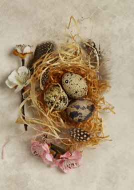 Bıldırcın yumurtası ile Paskalya kompozisyon