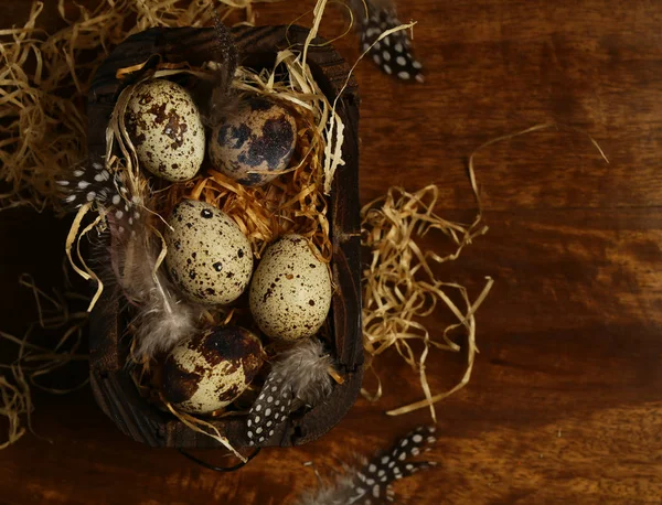 Easter Composition Quail Eggs — Stock Photo, Image