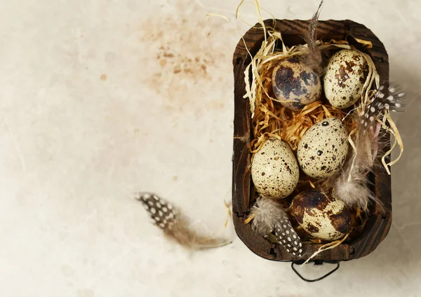 Easter Composition Quail Eggs — Stock Photo, Image