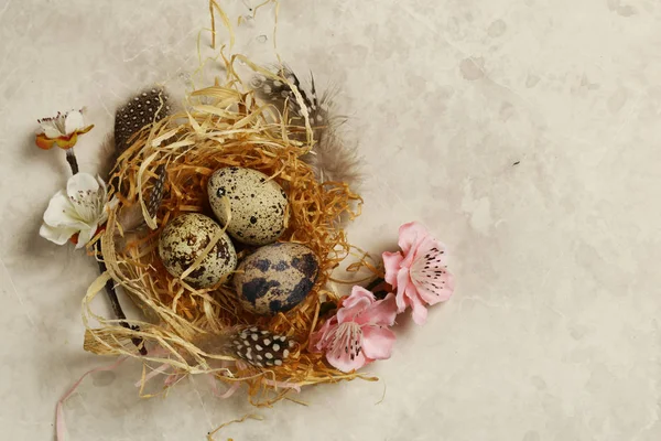 Easter Composition Quail Eggs — Stock Photo, Image