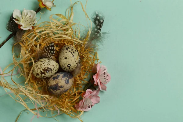 Πάσχα Σύνθεση Αυγά Ορτυκιού — Φωτογραφία Αρχείου