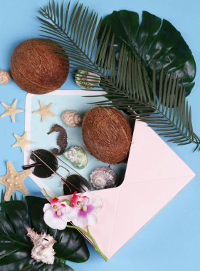 Kabuklu ve meyveli tropikal yaşam