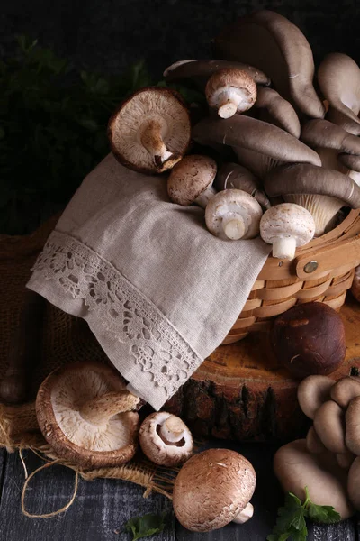 Funghi Biologici Naturali Cibo Vegetariano — Foto Stock