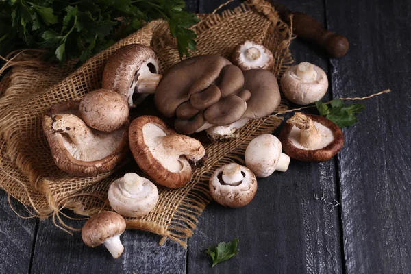 Funghi Biologici Naturali Cibo Vegetariano — Foto Stock