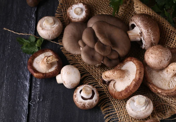 Funghi Biologici Naturali Cibo Vegetariano — Foto Stock