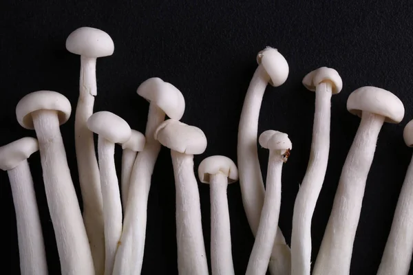 Funghi Biologici Naturali Cibo Vegetariano — Foto Stock