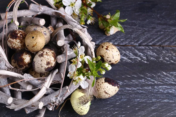 Easter Composition Quail Eggs — Stock Photo, Image